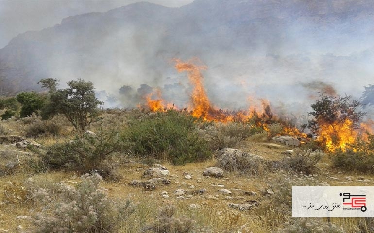 وقوع آتش سوزی در مناطق ارژن و پریشان استان فارس