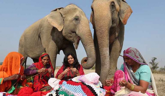 بافت لباس برای فیل های نجات یافته در هند